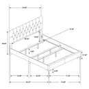 Kendall Upholstered Panel Bed