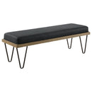 Chad Accent Bench