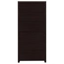 Skylar Bookcase