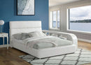 Vodice Bookcase