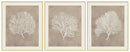 Hendridge Wall Art (Set of 3)
