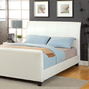 Maynard Bed